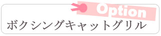 �{�N�V���O�L���b�g�O�����I�v�V����