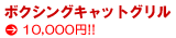 �{�N�V���O�L���b�g�O�����I�v�V�����@10,000�~
