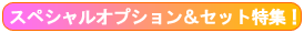 �X�y�V�����I�v�V�������Z�b�g���W�I